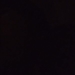 Meet your Posher, Rico